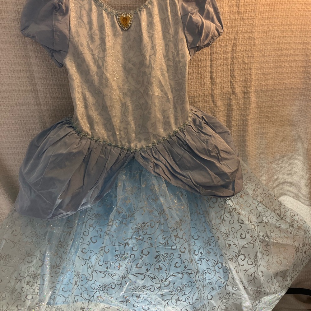 Cinderella Sparkling Blue and Silver Gown